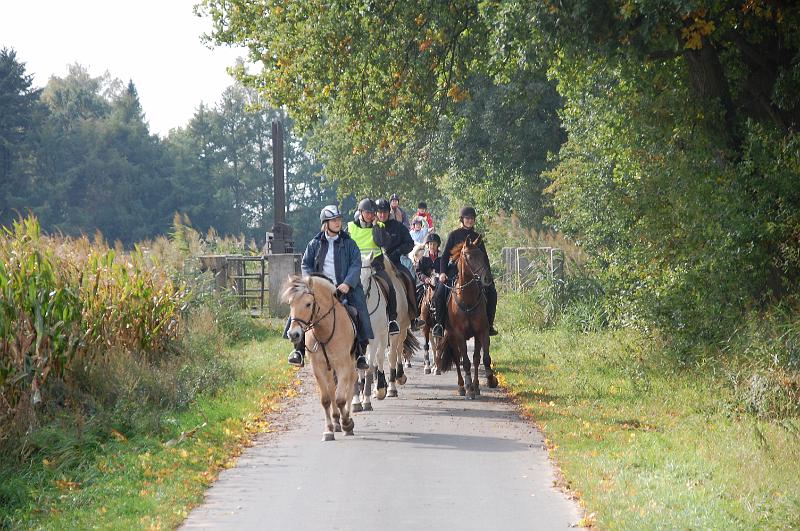 Tagesausritt Oktober 2008038.JPG